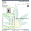 Certificate of Analysis for Peanut Butter Brittle with cannabis leaf design