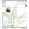 Pure Michigan Hemp