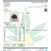 Moonbow Hemp