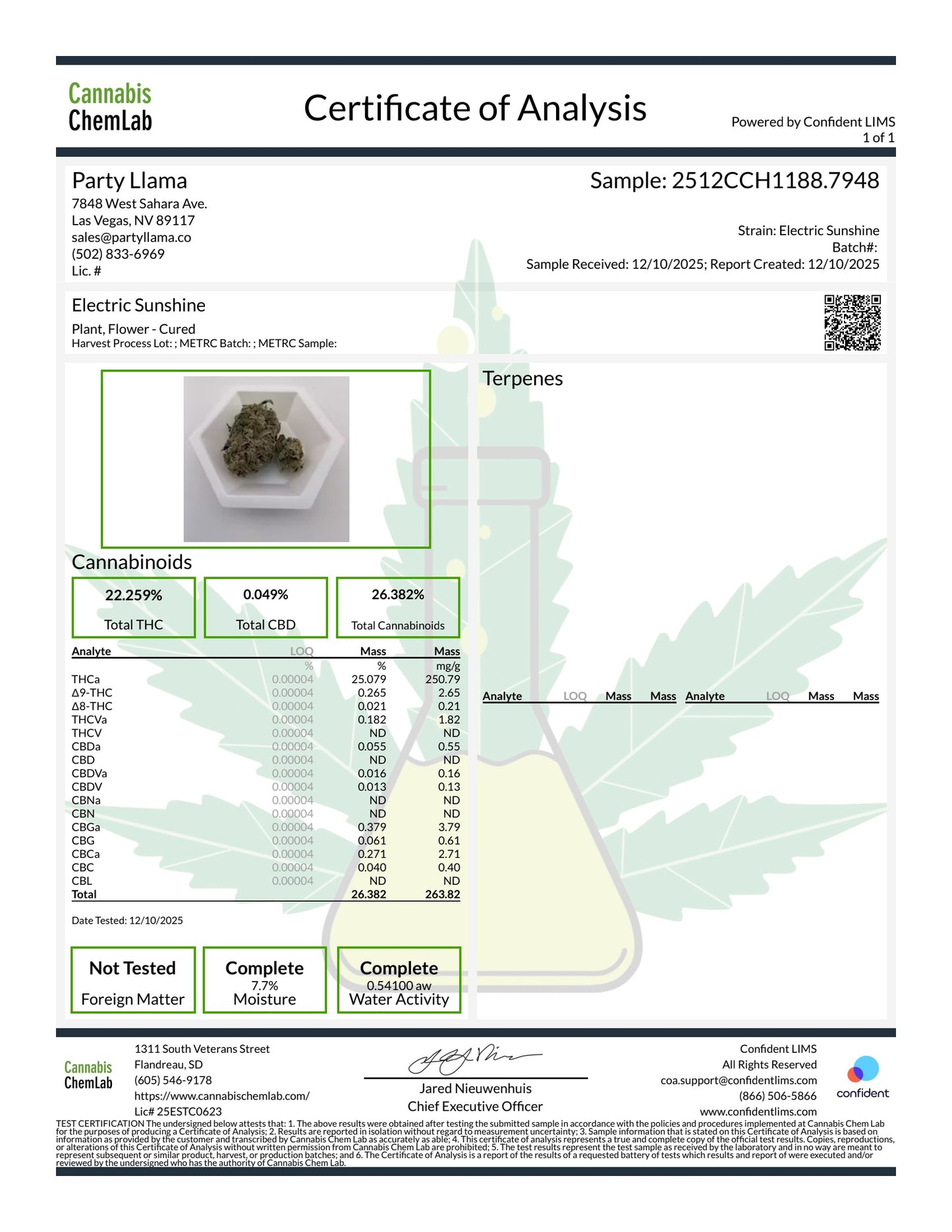 Electric Sunshine Hemp