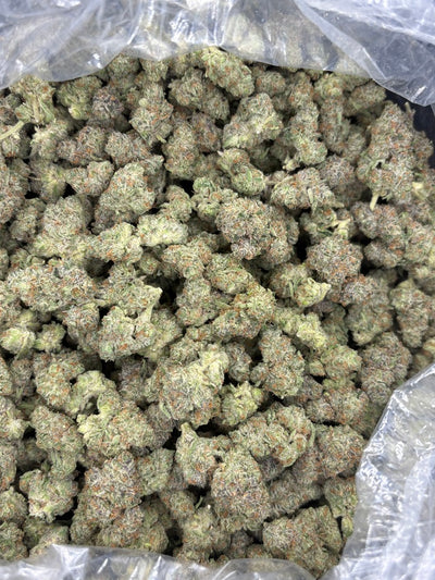 Apple Fritter Hemp