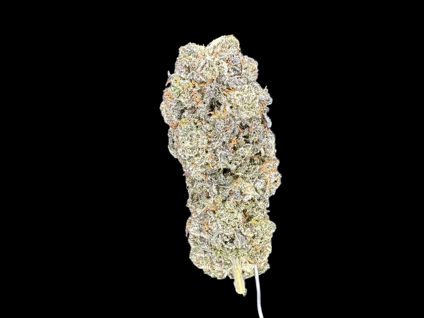 Animal Mints Hemp
