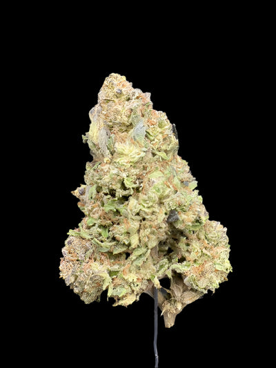 Apple Fritter Hemp - 7-335