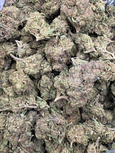 Apple Fritter Hemp - 7-335