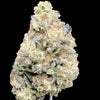 Apple Tart Hemp - 23.367% - HF055