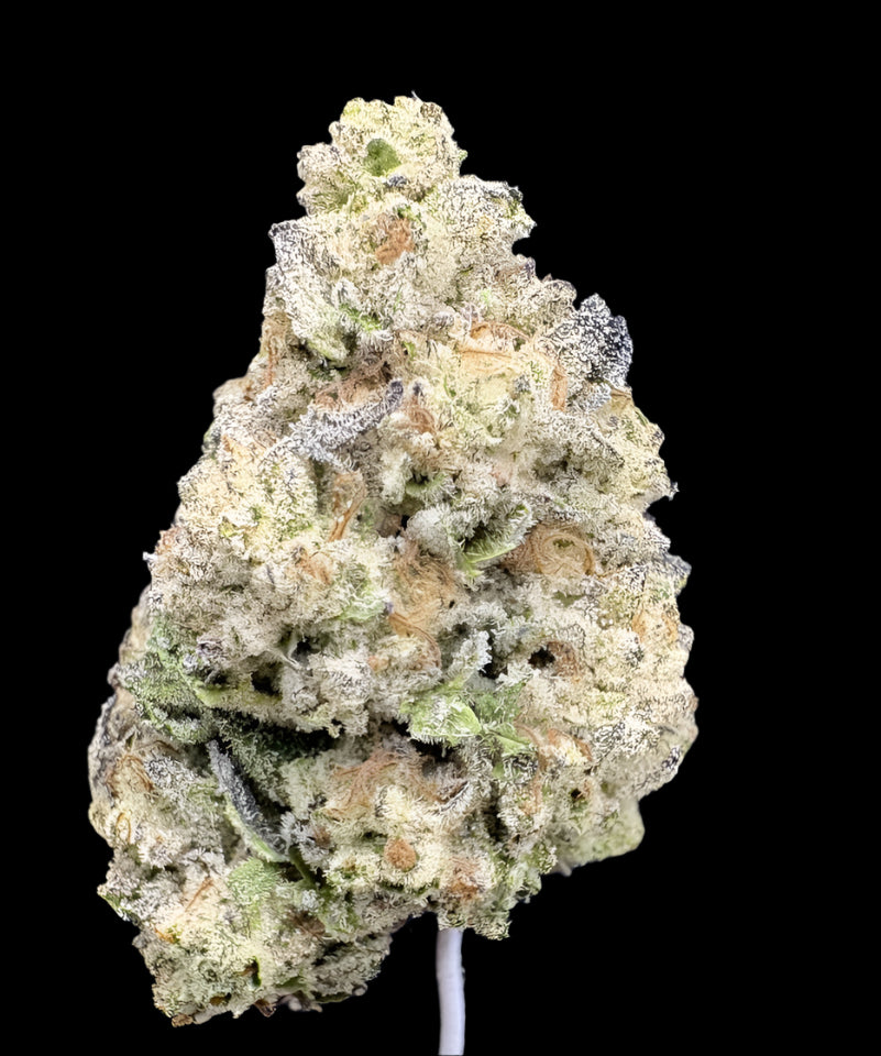 Apple Tart Hemp - 23.367% - HF055