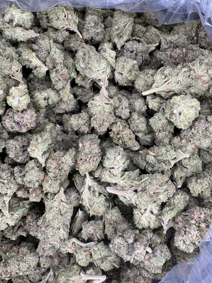 Apple Tart Hemp - 23.367% - HF055