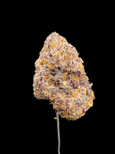 Blueberry Muffin Hemp - 07-388