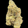 Black Scotti Hemp