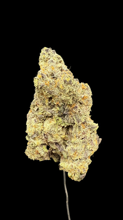 Black Scotti Hemp