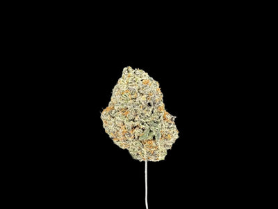 Black Truffle Hemp
