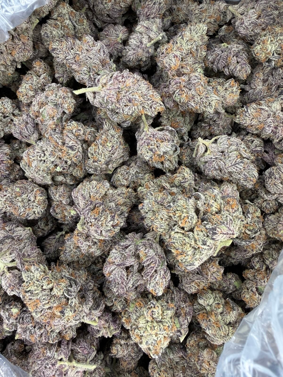 Product photo of a Blue Dream hemp 1 lb bag standing on a clean background, featuring colorful Party Llama branding and clear strain labeling to showcase this premium, high-THCa sativa-dominant flower