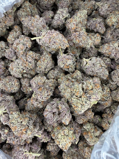 Product photo of a Blue Dream hemp 1 lb bag standing on a clean background, featuring colorful Party Llama branding and clear strain labeling to showcase this premium, high-THCa sativa-dominant flower