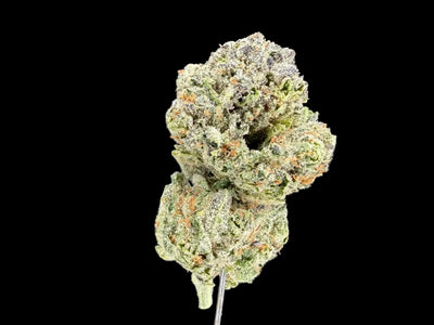 Close-up of a dense Blue Dream hemp bud covered in frosty trichomes, showing bright green and orange hues that highlight its premium, high-THCa, sativa-dominant quality against a clean background