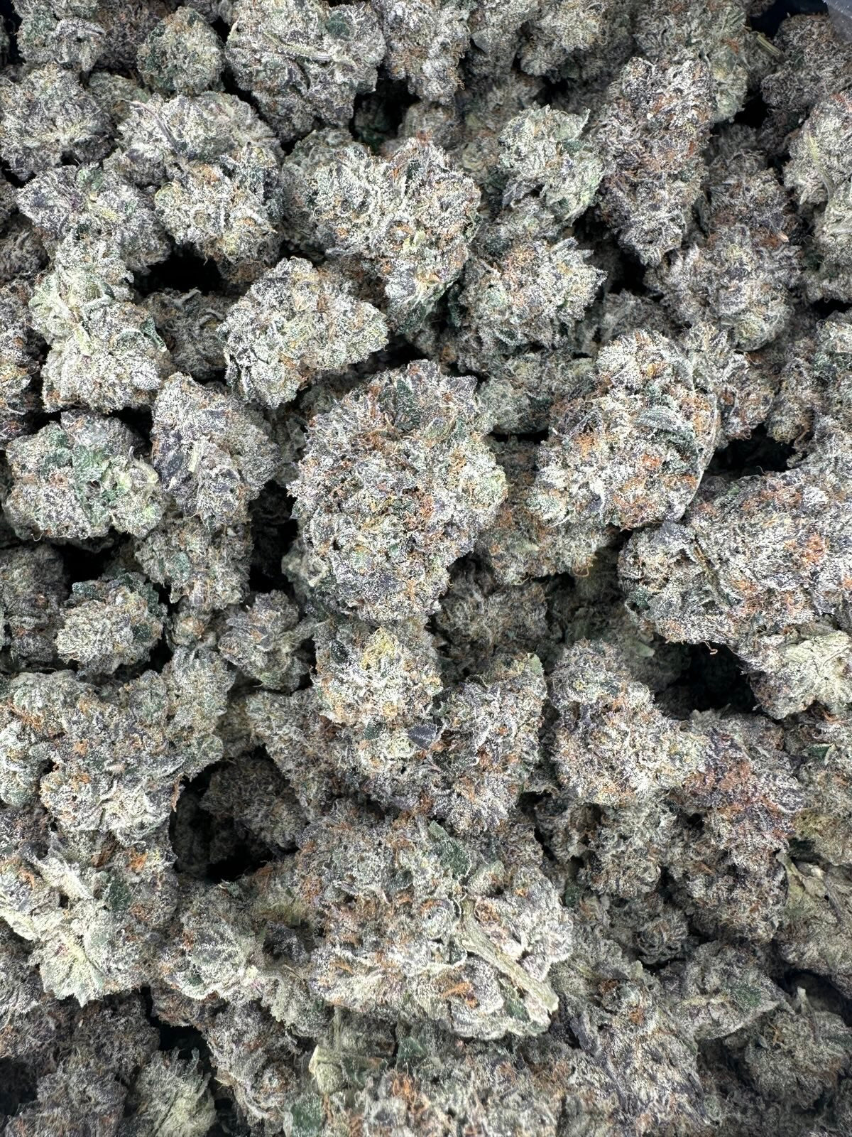 Blueberry Pound Cake Hemp