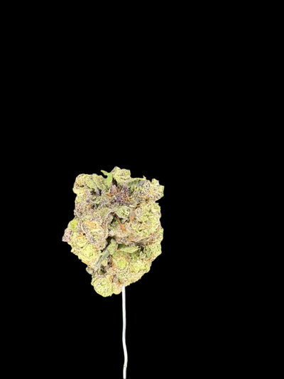 Blueberry Pound Cake Hemp bud on dark background. 