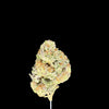 Bottom Bird Hemp bud on dark background
