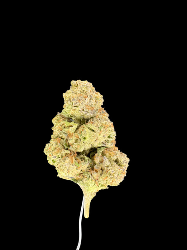 Close up of a THCa flower on a dark background