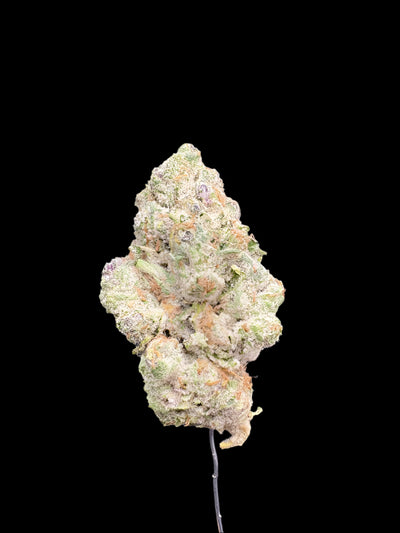 Cherry Lime Rickey Hemp - 07-388