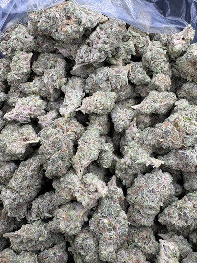 Cherry Lime Rickey Hemp - 07-388