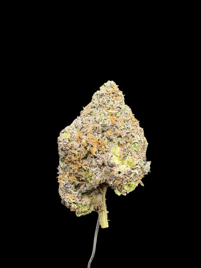 Candy Gas Hemp - 07-388