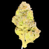 Cherry Biscotti Hemp - 21.739% - HF003