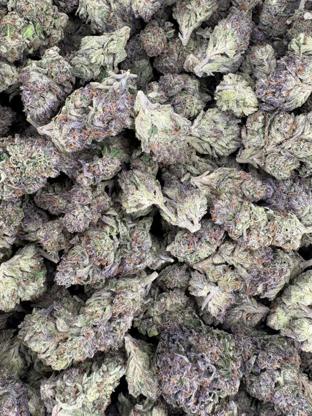 Cherry Biscotti Hemp - 21.739% - HF003