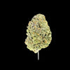 Cherry Dosi Hemp - 56-385