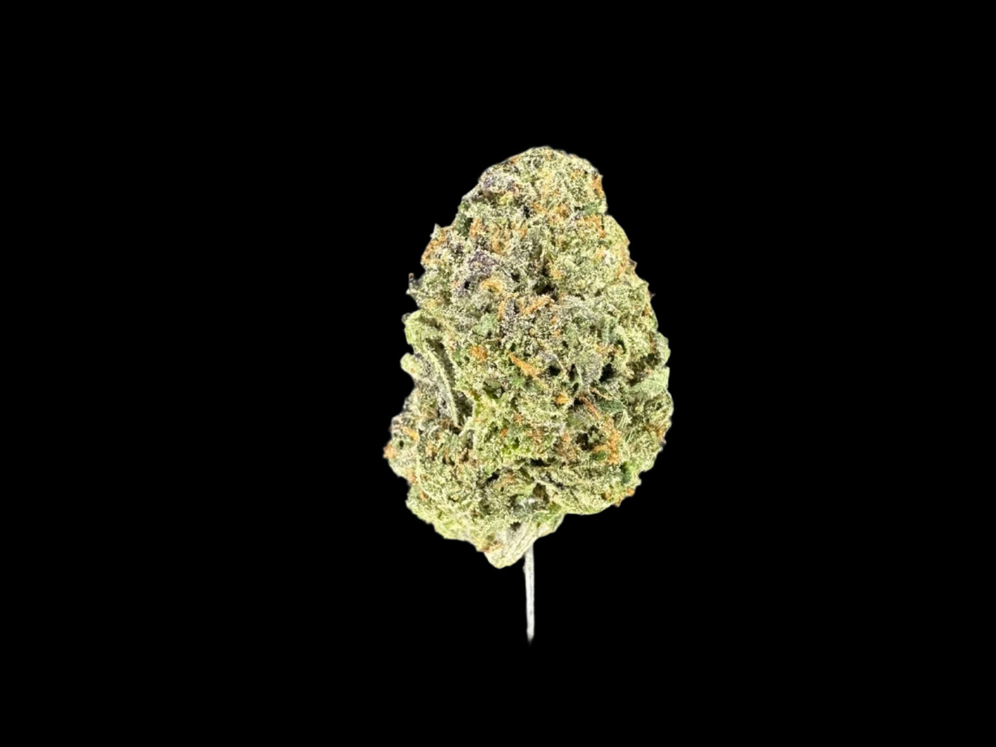 Cherry Dosi Hemp - 56-385