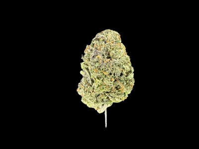 Cherry Dosi Hemp - 56-385