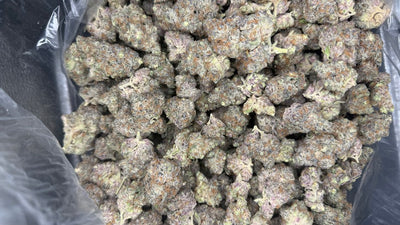 Cherry Fritter Hemp