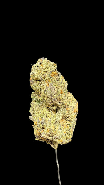Cream Filling Hemp