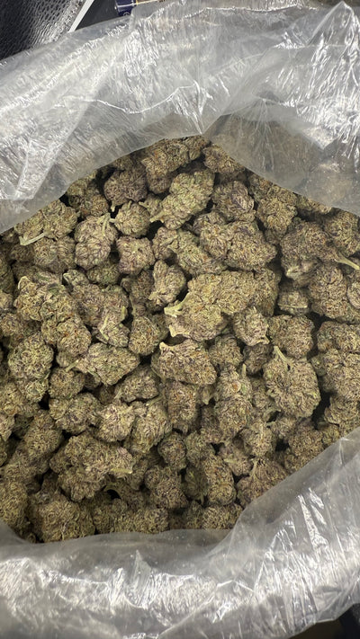 Cream Filling Hemp