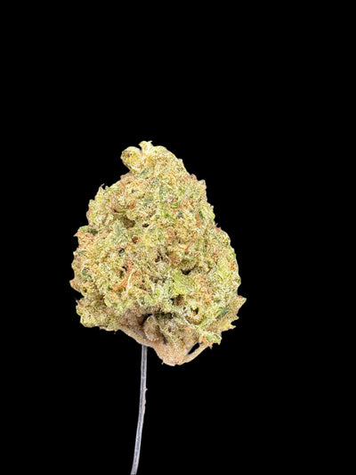 Drip Drop Hemp - 55-309