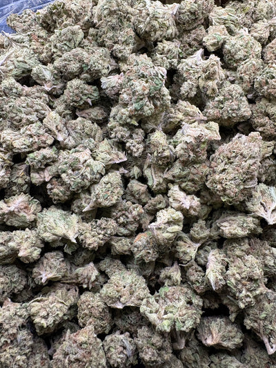 Drip Drop Hemp - 55-309
