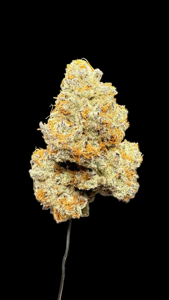 Dante's Inferno Hemp