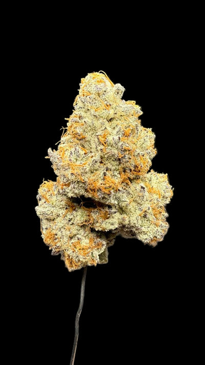 Dante's Inferno Hemp
