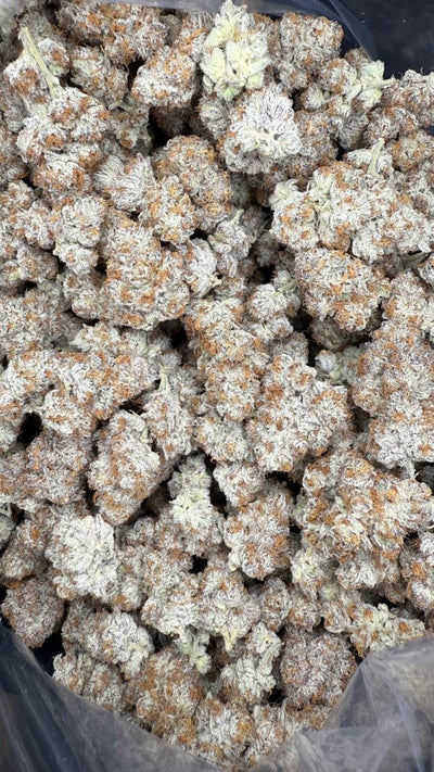 Dante's Inferno Hemp