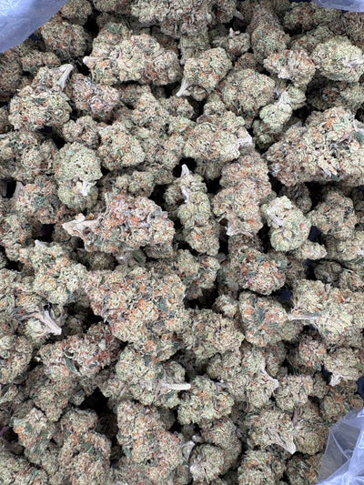 Dosido Hemp - 30-398