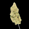 Close-up of a cannabis bud on a dark background