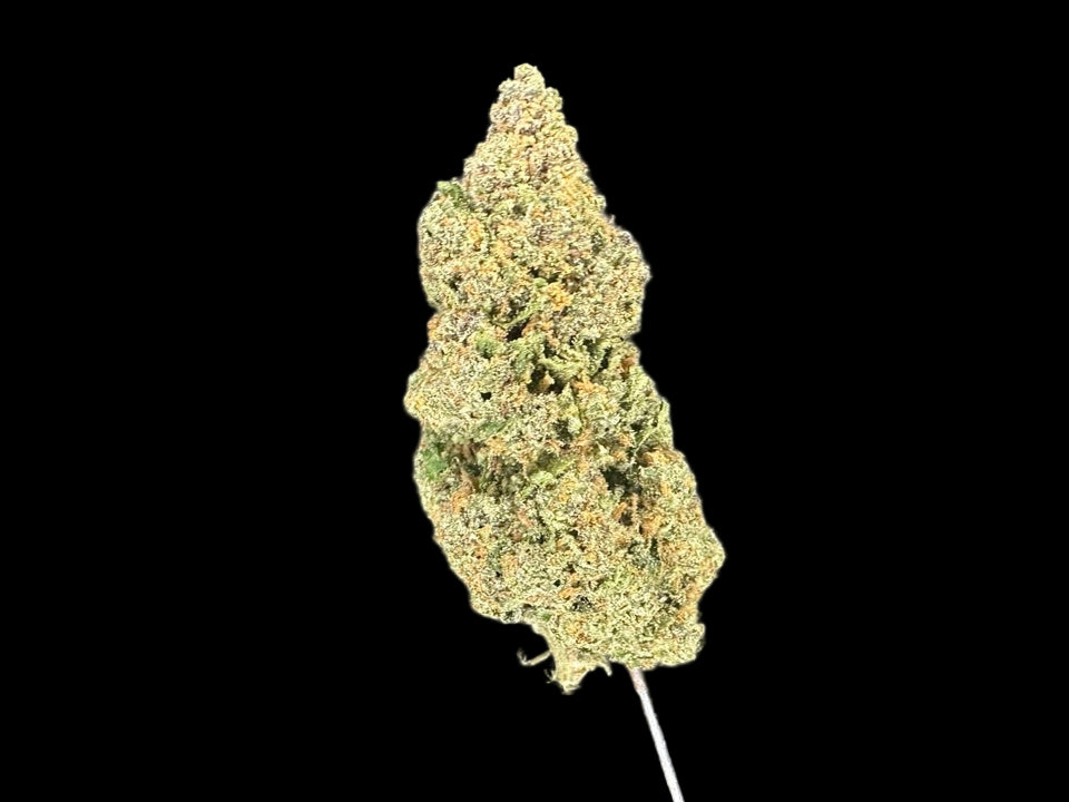 Close-up of a cannabis bud on a dark background