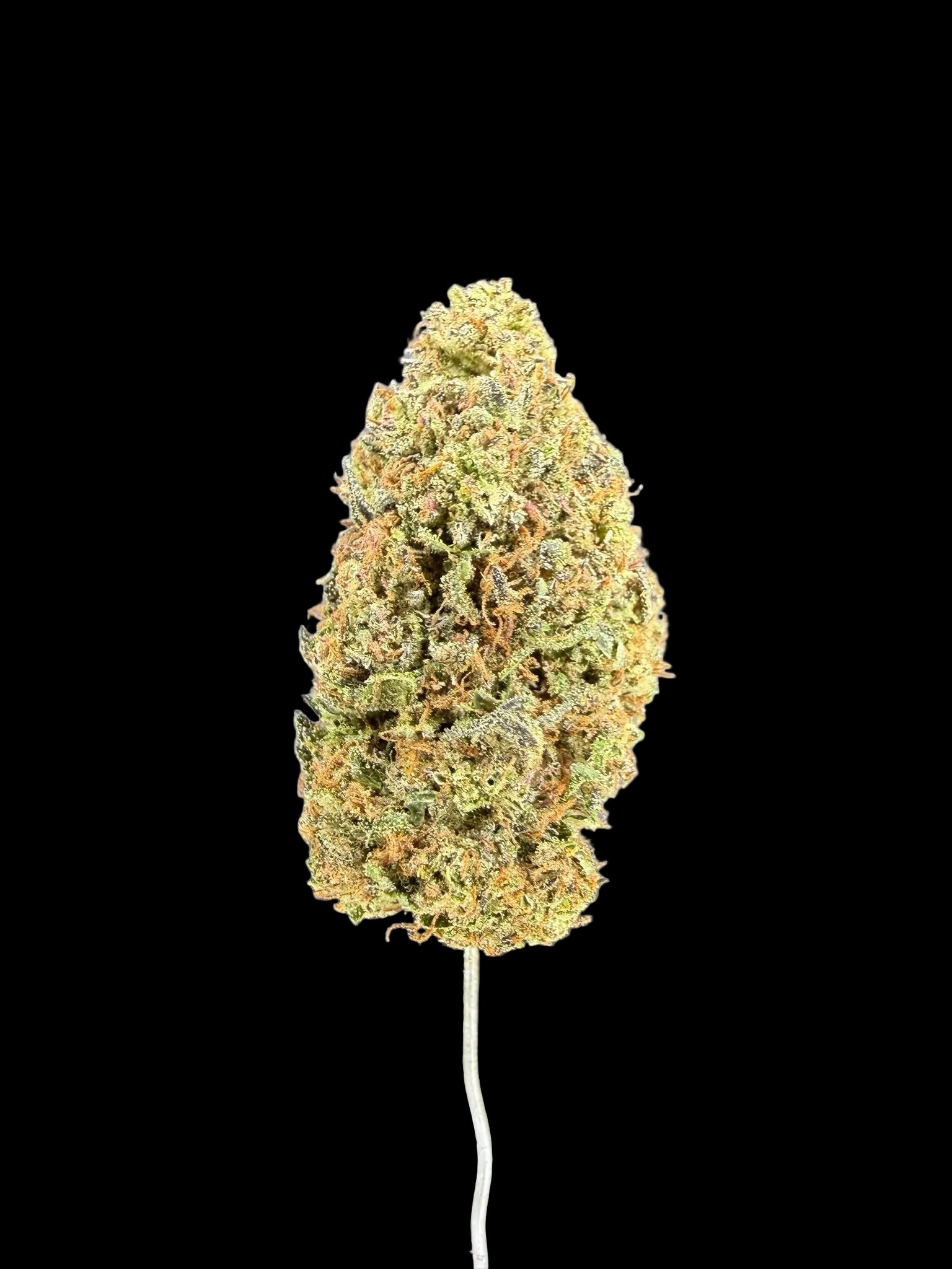 Close-up of a cannabis bud against a dark background