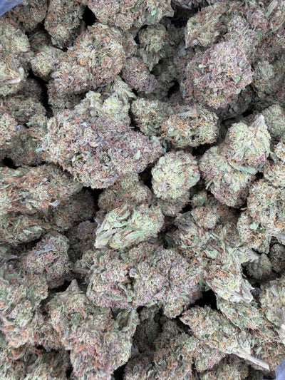 Electric Sunshine Hemp