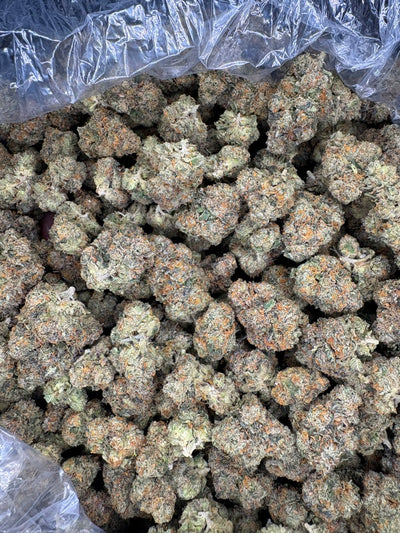 Gelato Hemp