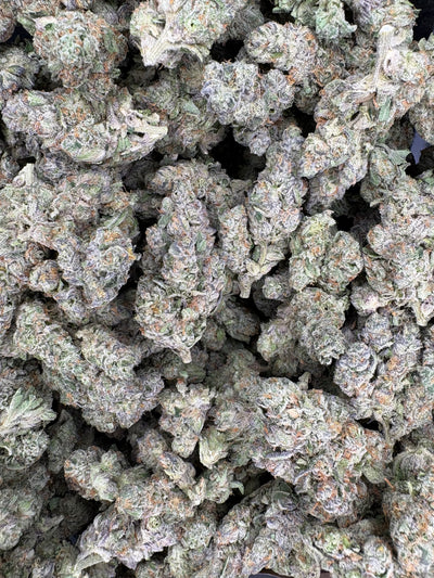 GMO Crasher Hemp - 11-326