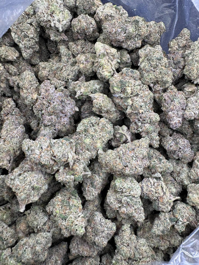 Gary Poppins Hemp - HF048