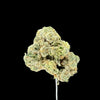 Gas Mintz Hemp - 51-323