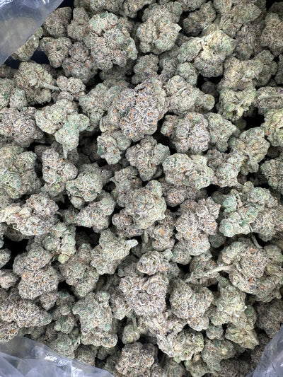 Gas Mintz Hemp - 51-323