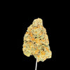 Close-up of a cannabis bud on a black background