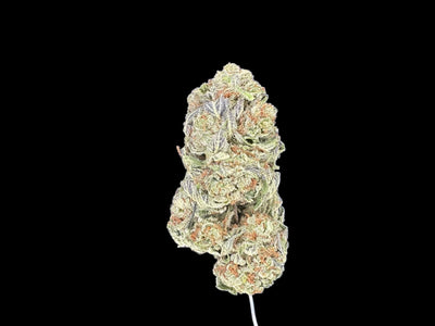 Gelato Hemp